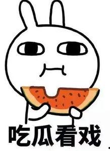 祭司吃瓜,一场神秘的瓜界探险