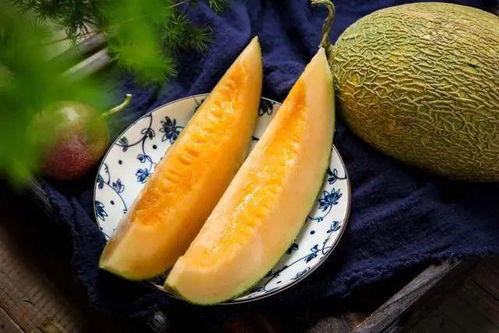 哈密瓜什么季节吃的