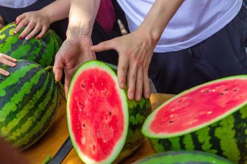 大学吃瓜视频链接,吃瓜视频带你领略校园风采